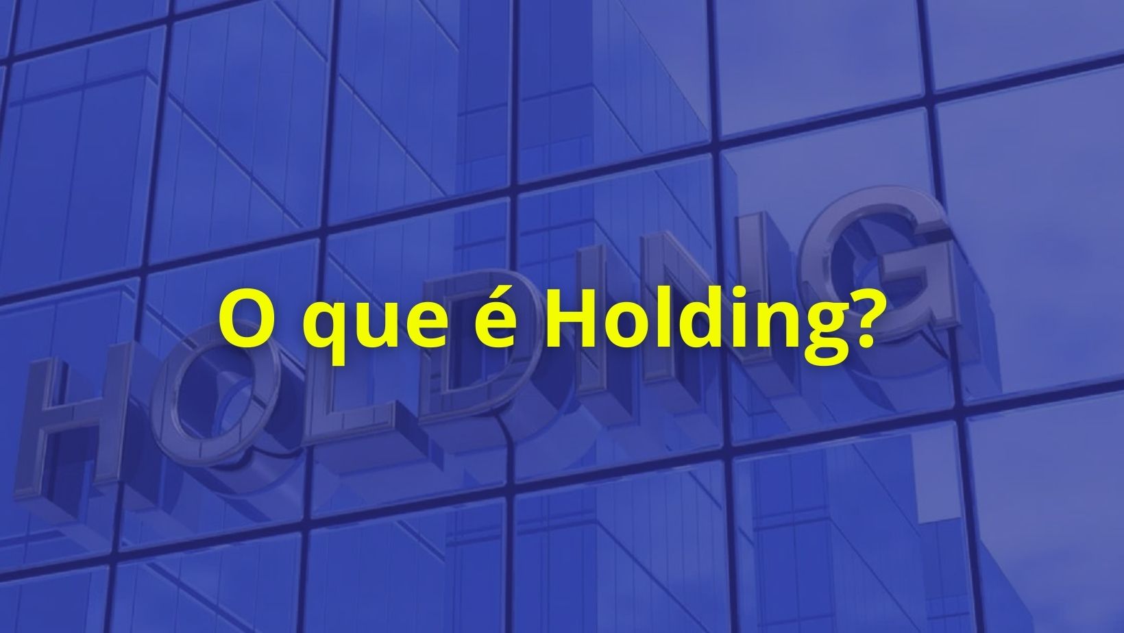 O que é holding? – Portal Paralegal